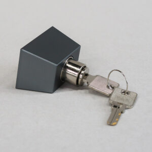 Schloss mit Bolzen und Schlüssel für Glasschiebewände Deluxe von Tegards