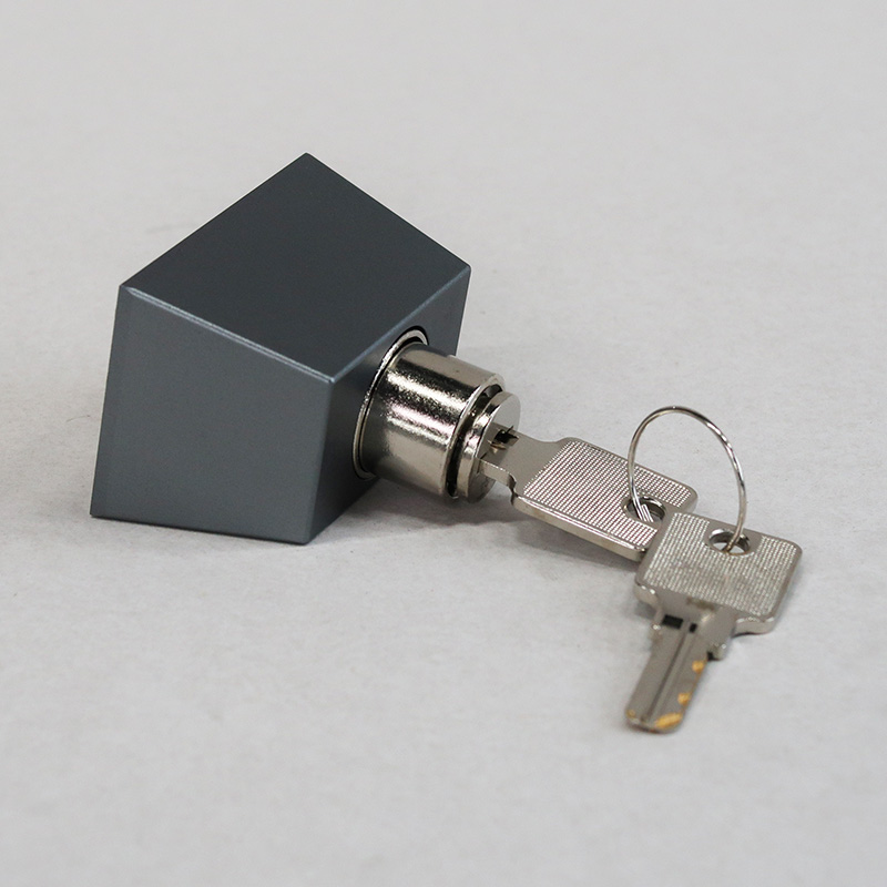 Schloss mit Bolzen und Schlüssel für Glasschiebewände Deluxe von Tegards